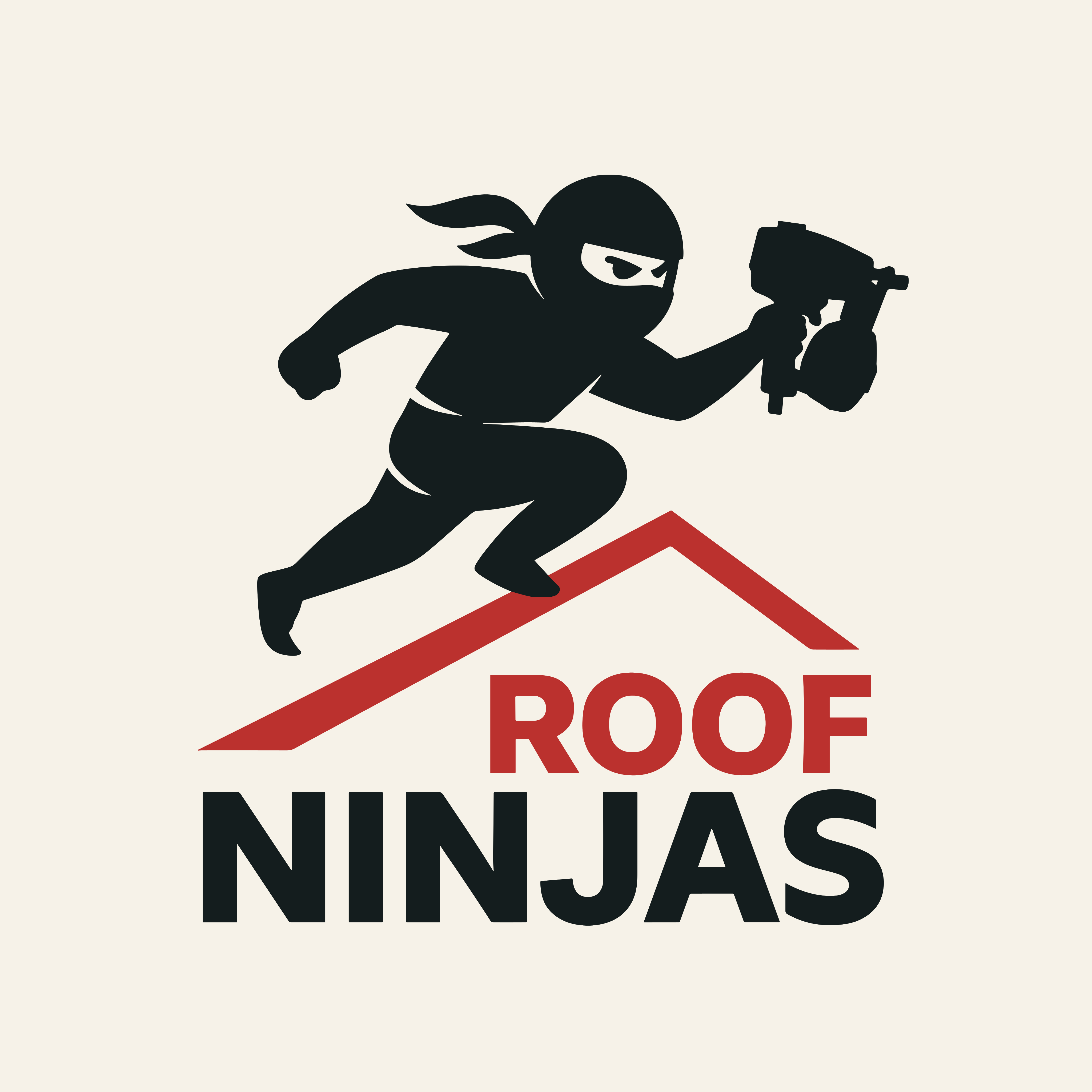 Roof Ninjas Logo
